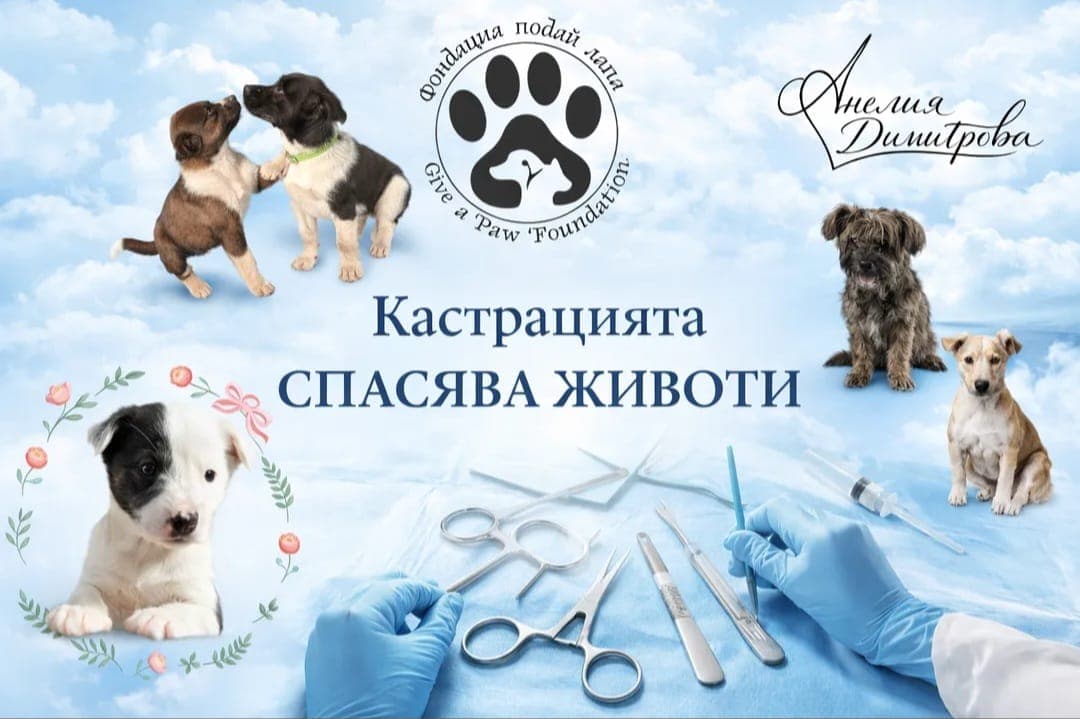 Кастрацията спасява животи — банер на фондация Подай лапа с кученца