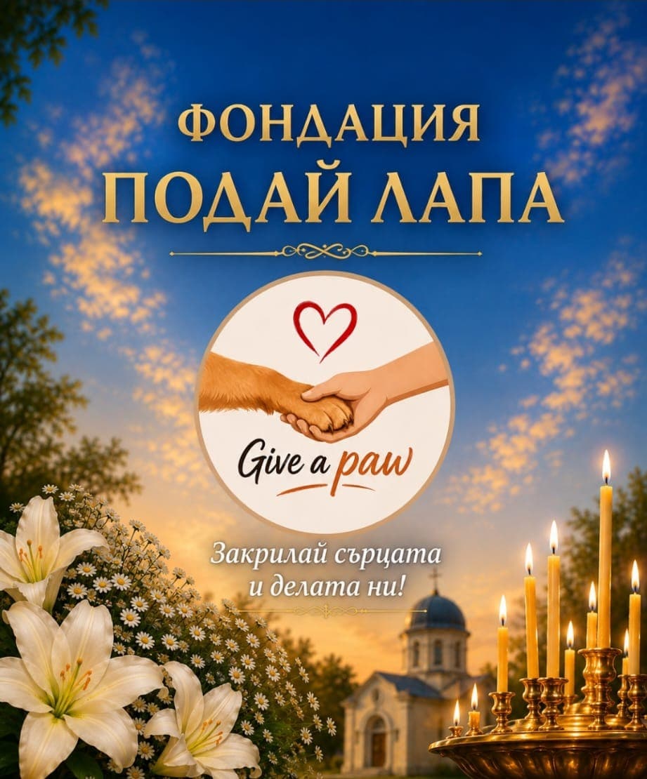 Фондация Подай лапа — „Закрилай сърцата и делата ни!“; свещи, лилии и църква на фона на вечерно небе