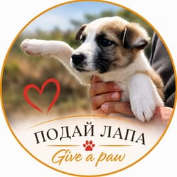 Лого на фондация Подай лапа